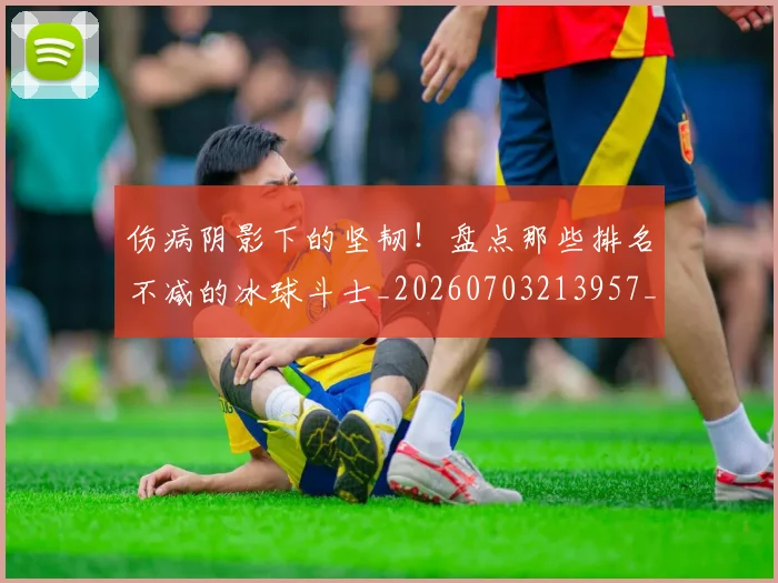 伤病阴影下的坚韧！盘点那些排名不减的冰球斗士_20260703213957_20260718003400