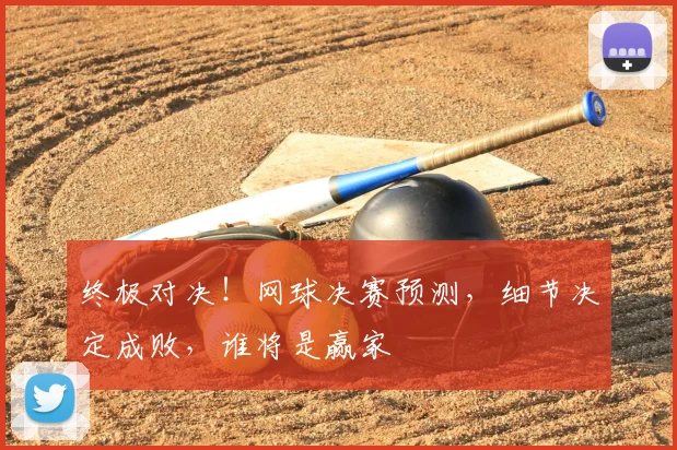 终极对决!网球决赛预测,细节决定成败,谁将是赢家
